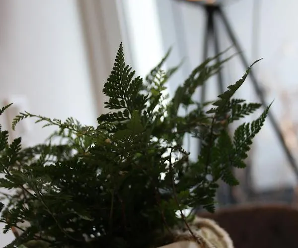 Am Kronengarten هيلدن